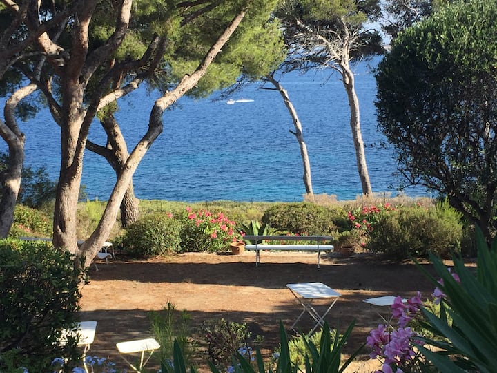 Grande Villa En Bord De Mer - Ollioules
