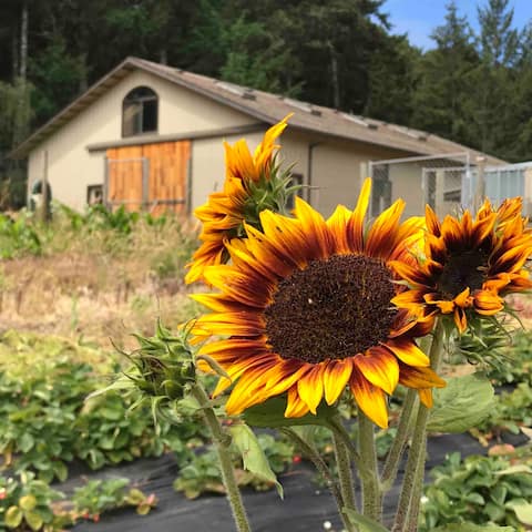 The Loft on Windy Hill