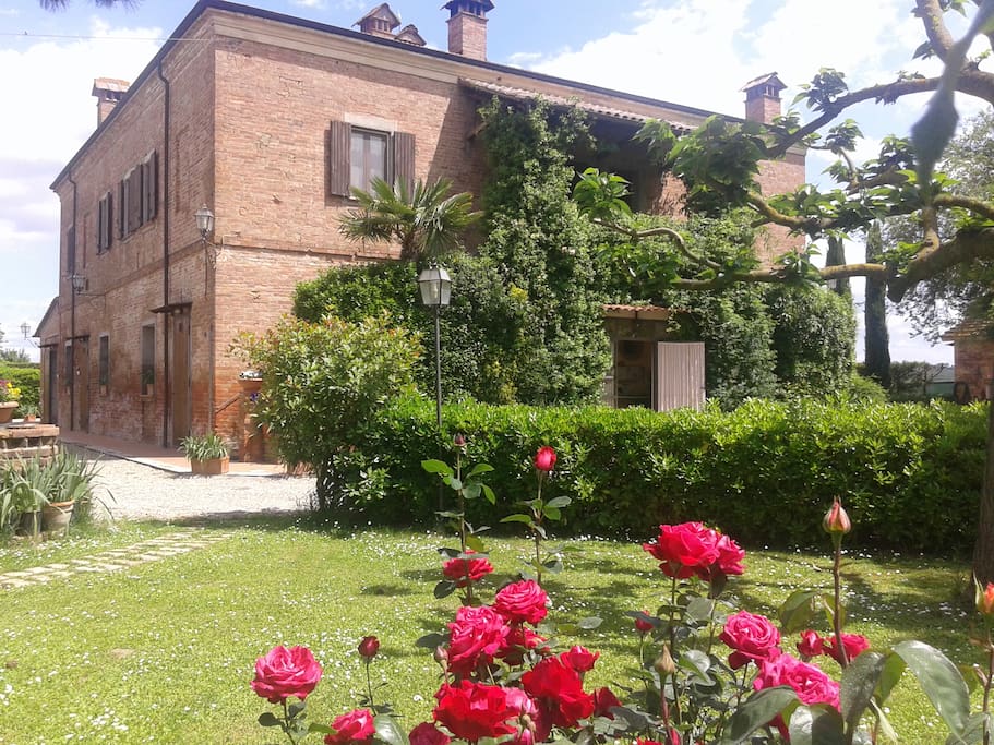 Podere Le Manzinaie