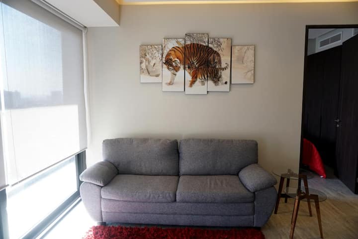 El Tigre  (Hidalgo Residence) - Guadalajara
