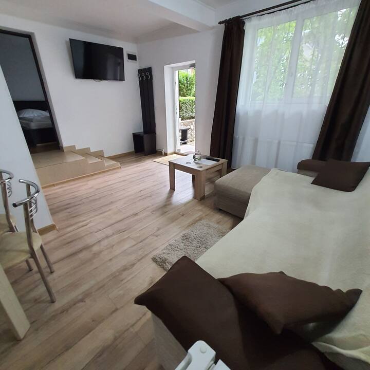 Casa Natura Apartment's Herculane ! Esti Acasa ! - Mehadia
