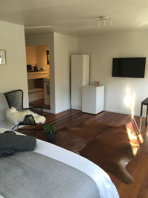 Spacious living/sleeping