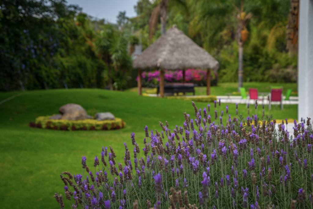 palapa con cama de descanso
