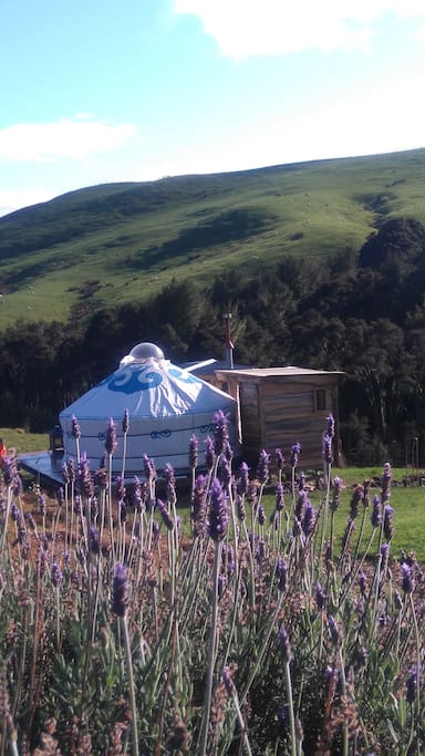 The Yurt