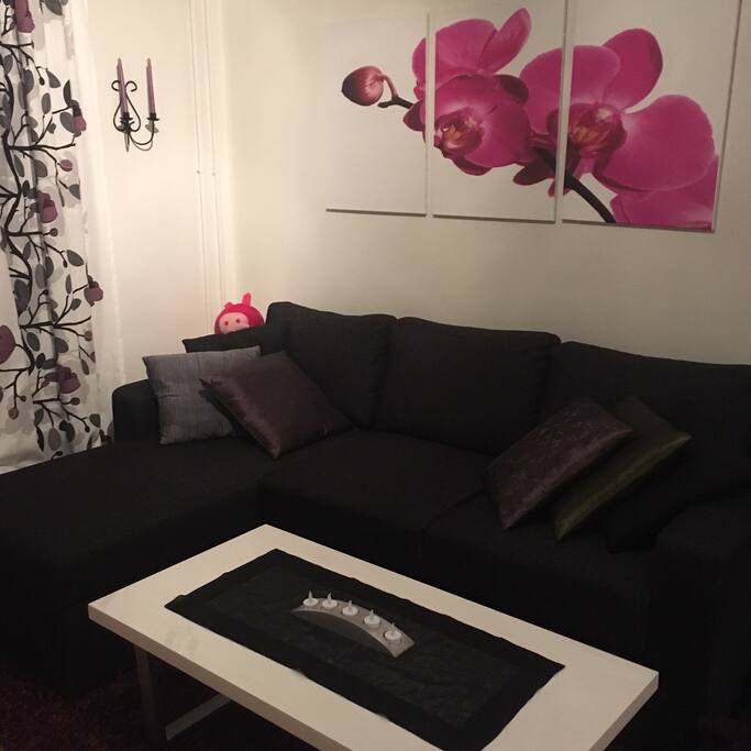 Soffa (bäddsoffa) i studion. Min älskade gris tittar fram bakom soffan. ;)