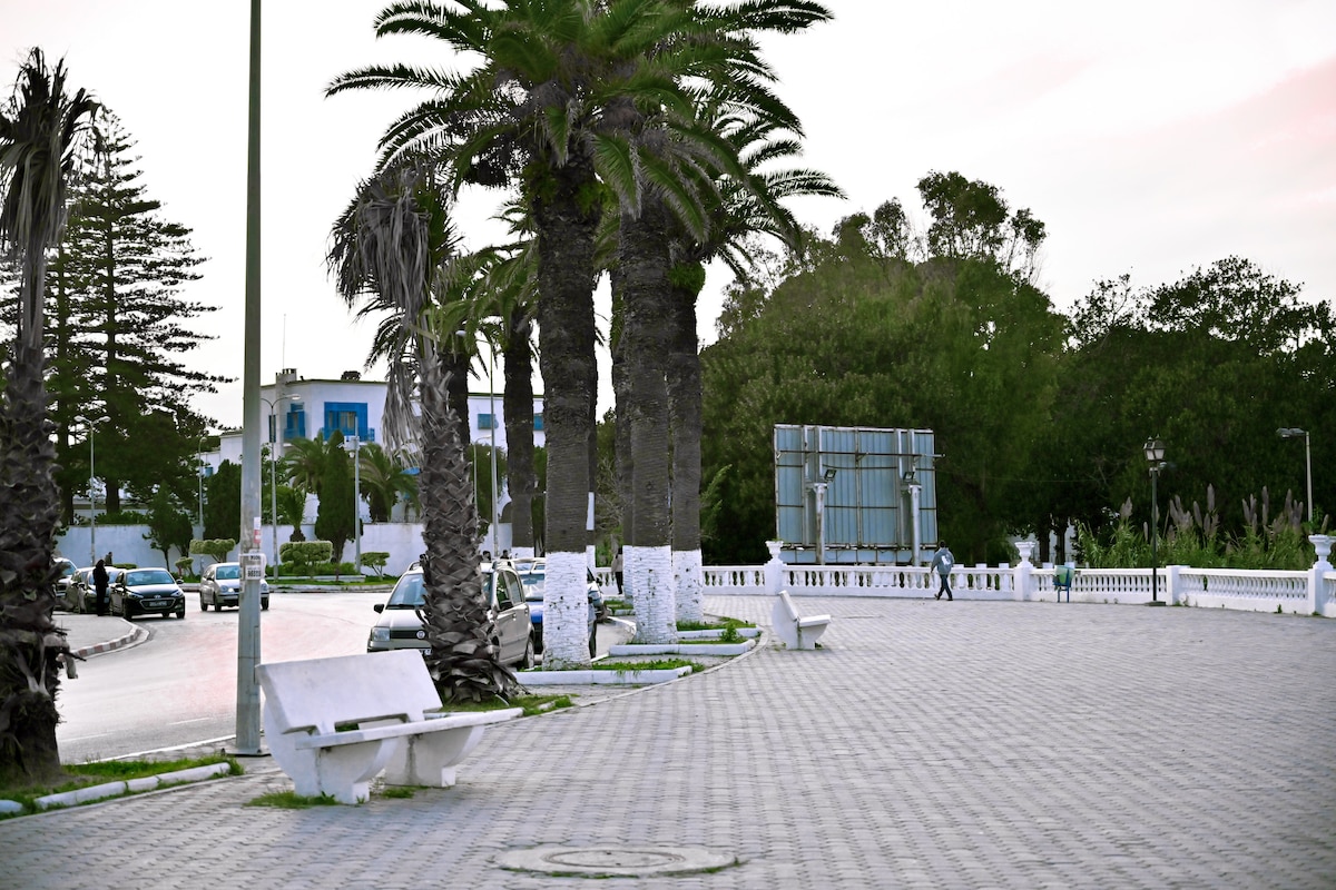 A quiet promenade features tall palm trees lining the pathway. White benches are positioned along the paved area, with green foliage visible in the background. A low building is seen in the distance, creating a serene urban environment close to the beach.
