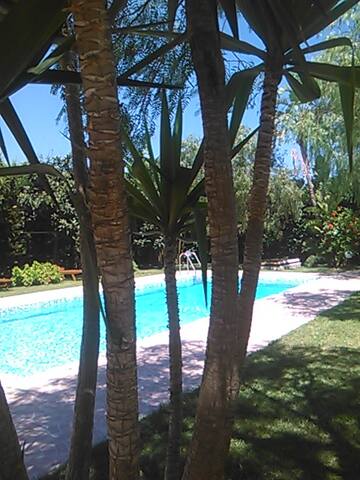 villa rustica “Rosa dei venti” piscina. gallery image 4