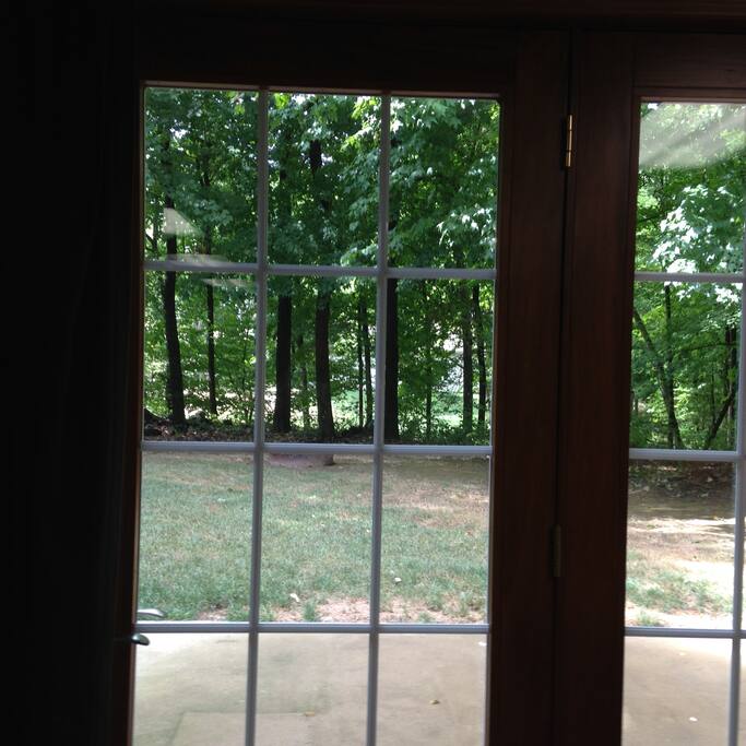 View from downstairs entrance (includes fire pit!)