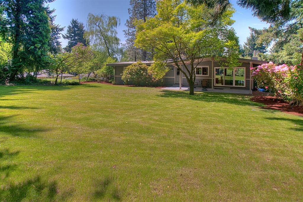 Back yard. Large garden with lots of trees and flowers .