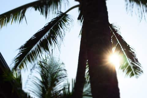 The Seascape - Matara - XL - Room 1