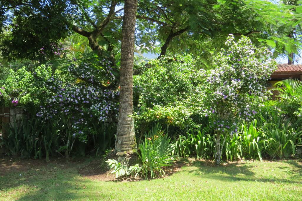 Quintal da frente