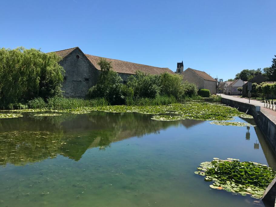La ferme vu de la mare