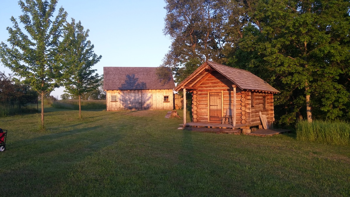 A rustic cabin made of logs stands beside an unfinished barn, both surrounded by lush greenery. The cabin features a covered porch, while soft sunlight bathes the landscape, highlighting the rolling hills in the background.