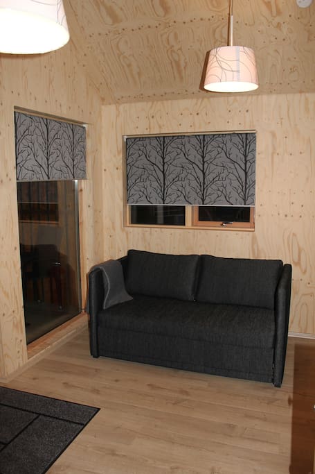 The living room - also a sofa bed