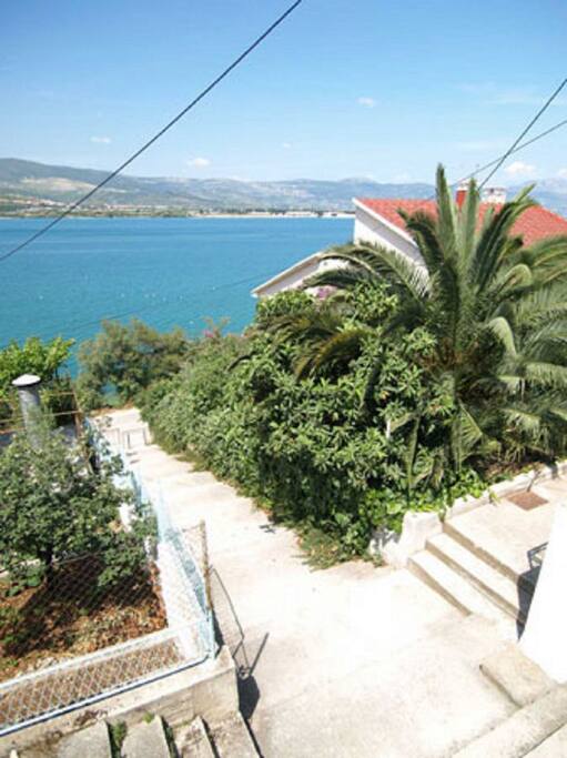 view