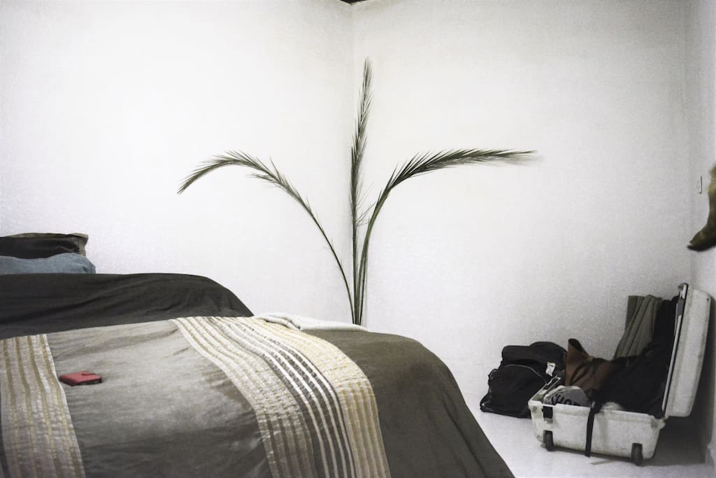 The room!