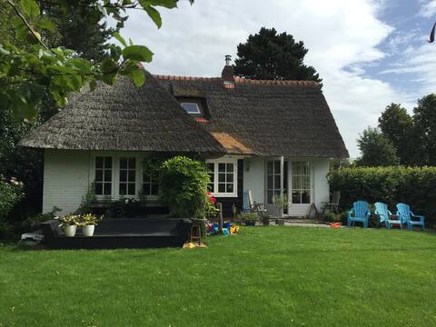 Close to the Beach and Amsterdam