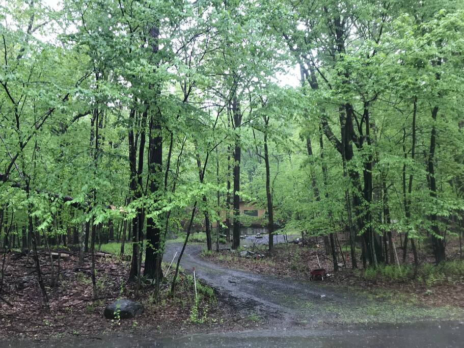Driveway