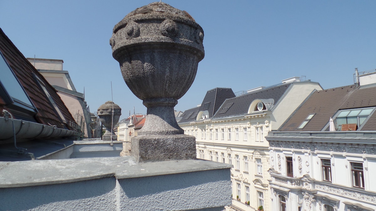 A detailed view from the terrace shows an ornate stone planter atop the building. The surrounding rooftops of historical buildings are visible, showcasing a mix of architectural styles under clear blue skies.