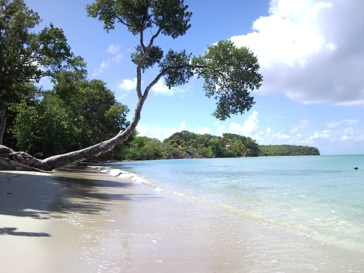 SainteAnne Holiday Rentals & Homes Le Marin, Martinique Airbnb