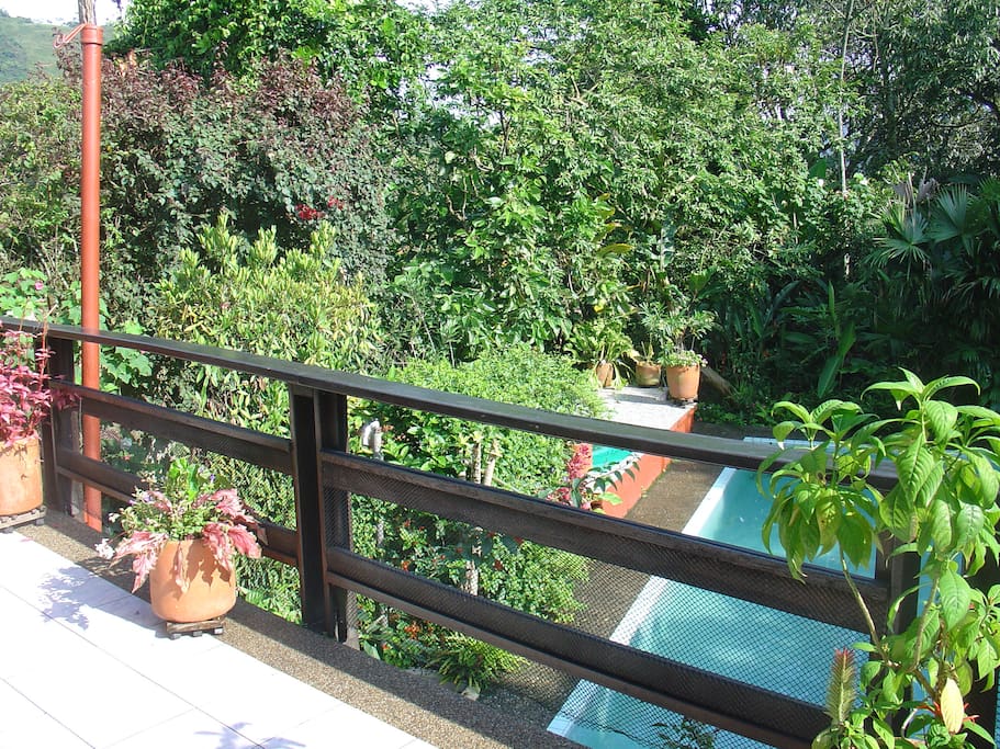 Piscina y Jacuzzi