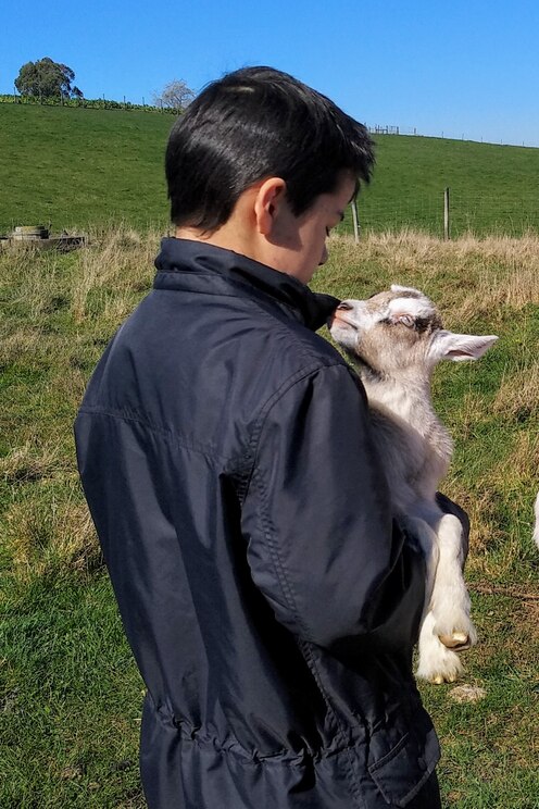 Vom Gastgeber bereitgestelltes Bild im Vollbildmodus anzeigen