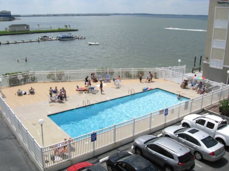 Bay Front Pool!