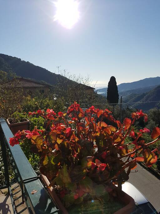 3 dicembre 2017