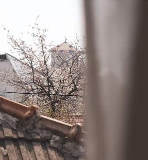 Beautiful house in a garden, Târgu Jiu