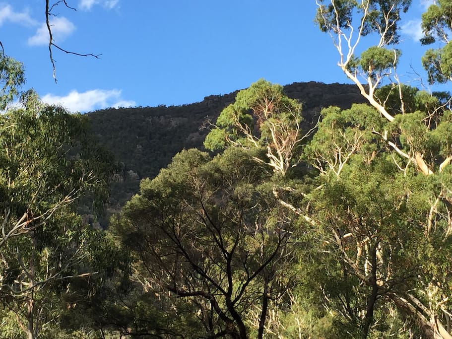 View at the back of the property.
