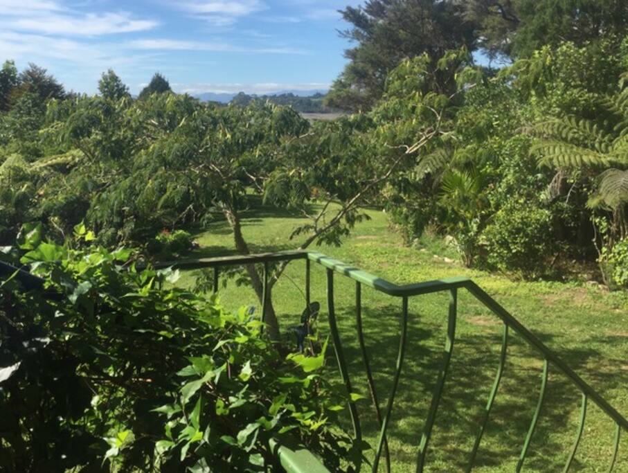 View From the Deck