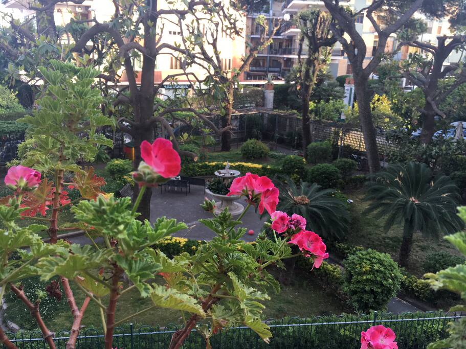 Affaccio Giardino
