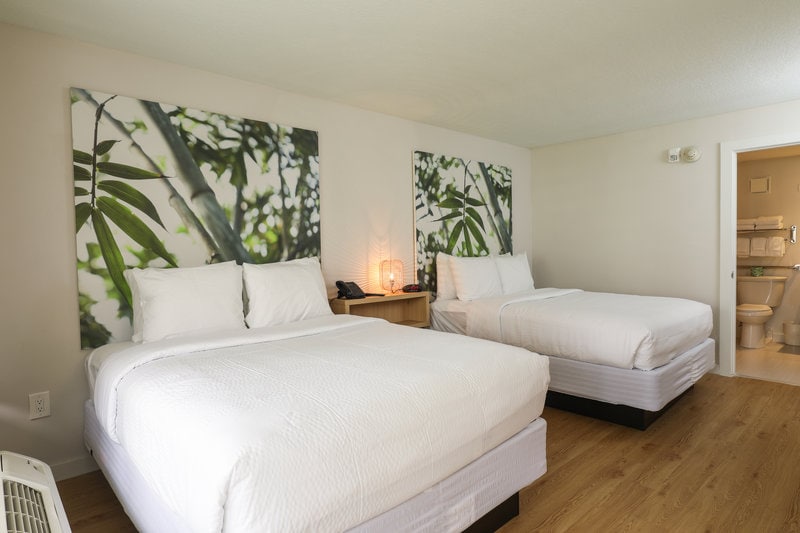 เตียงควีนไซส์ 2 หลัง