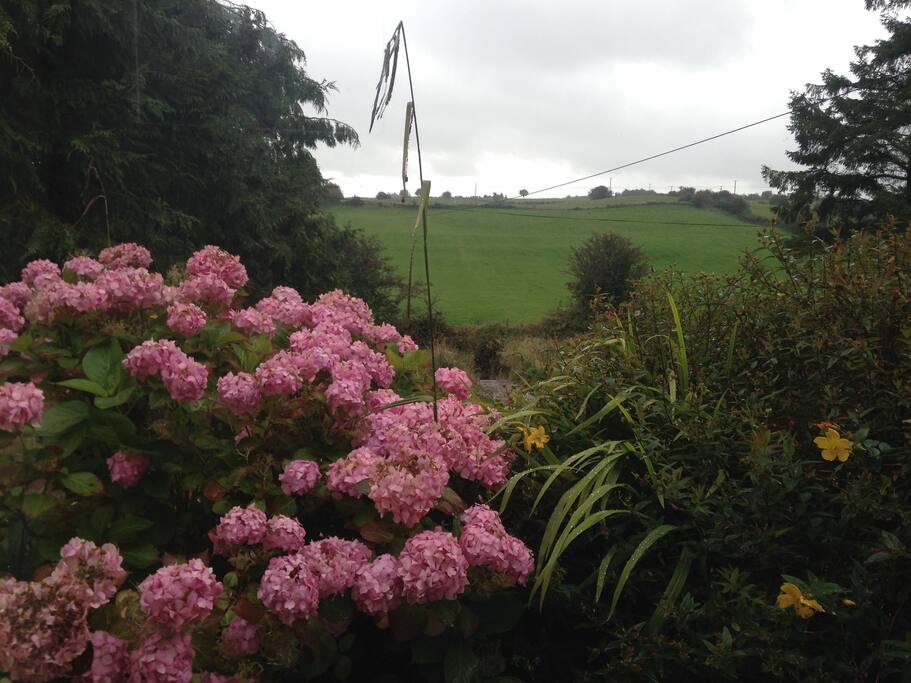 front garden with views of rolling countryside