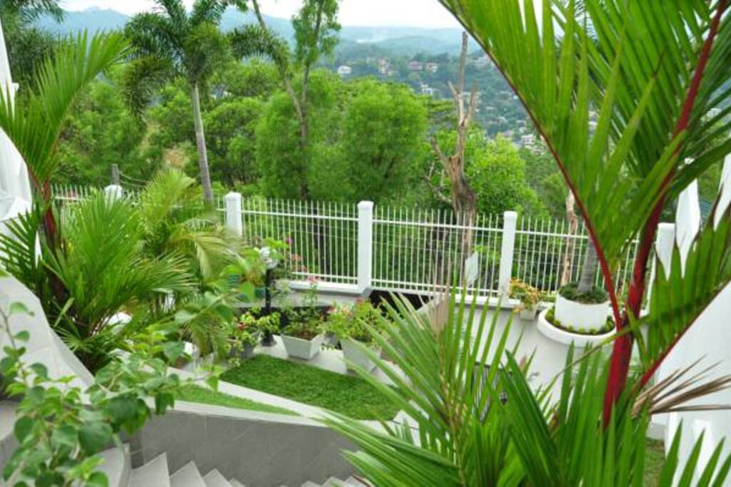 1st floor garden