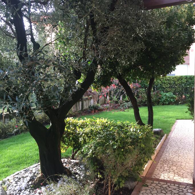 Giardino