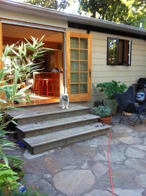 backyard