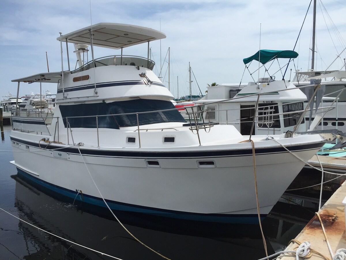 Top 100 Airbnb Rentals in Key West, Florida