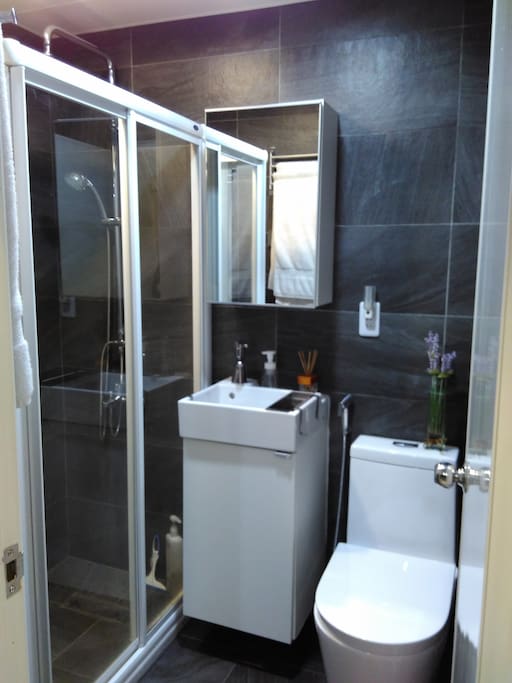 Commom bathroom