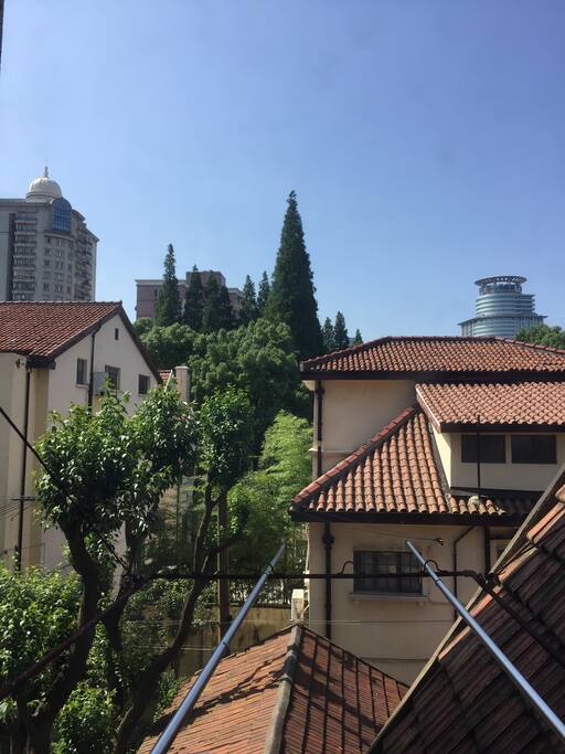 View from the apartment