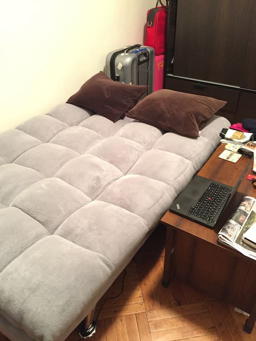 Sofa can be easily transformed to a queen size bed. Tempur pillows are available