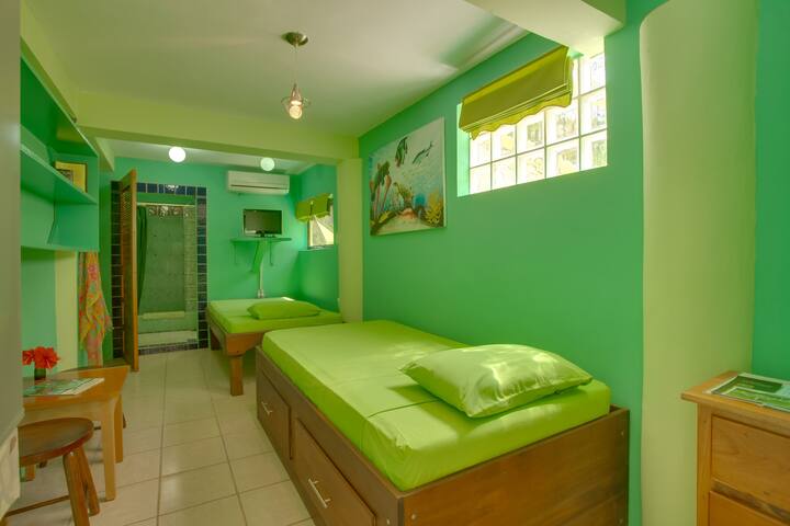 Garden Room-twin beds, air con, wifi, bikes & pool