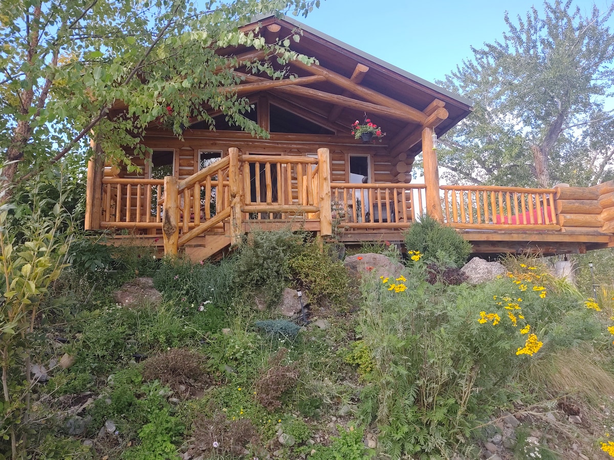 The log cabin features a covered front deck with wooden railings, surrounded by natural landscaping. Bright yellow flowers add a touch of color to the scene. Large windows reflect the sunlight, and the structure is complemented by a lush green backdrop.
