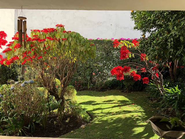 Casa del Sol-Beautiful family home in Mexico City