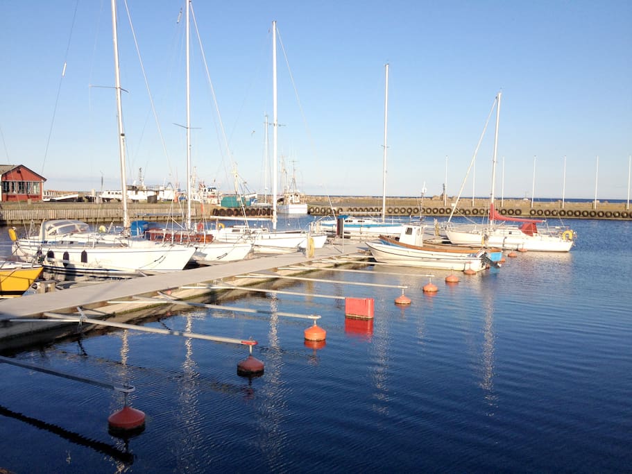 Harbour in the springtime. It is about 250 m from the house. In the summer you fint international sailing boats here. And we recommend the small restaurant.