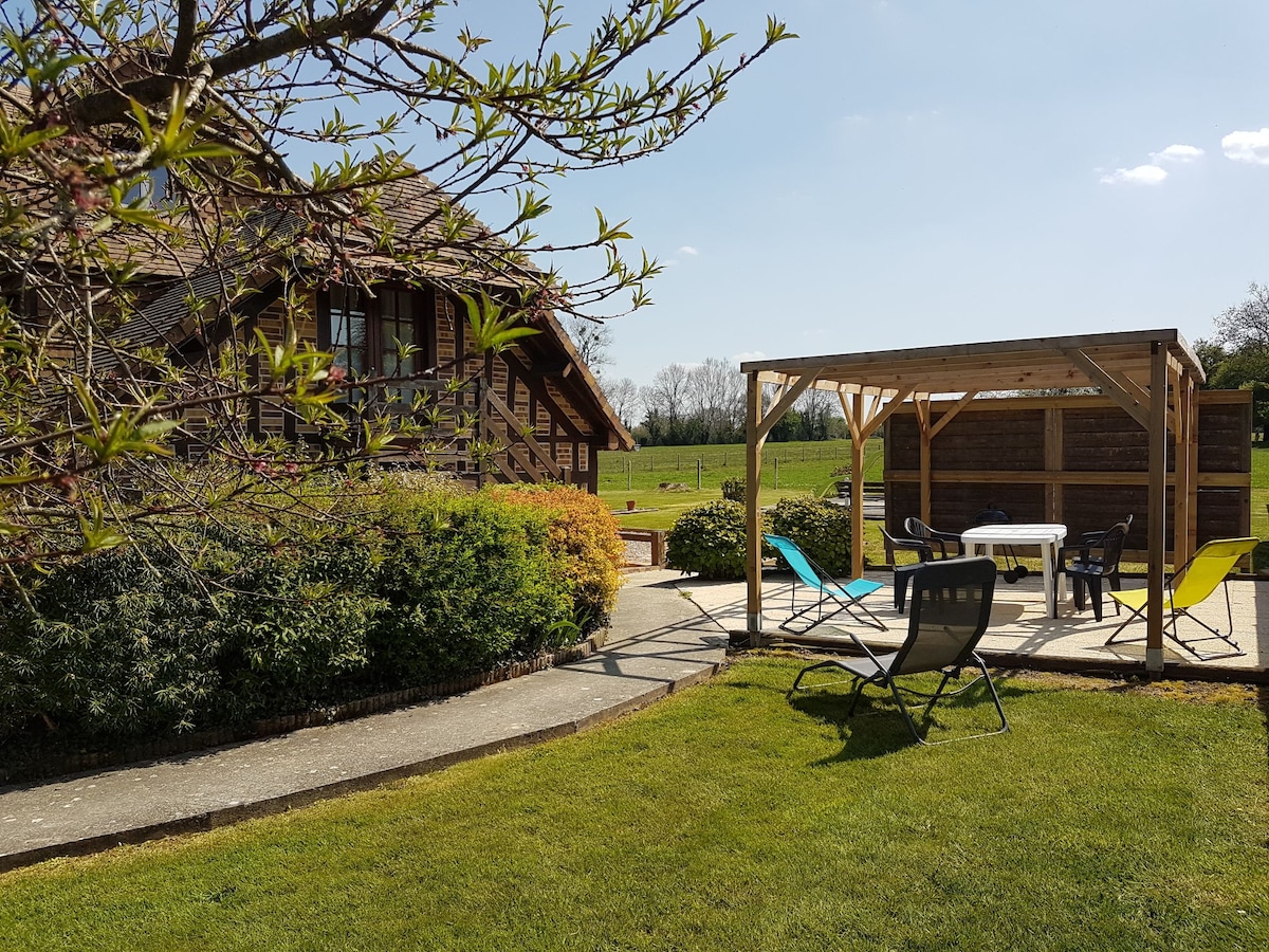A spacious terrace area is shown, featuring a wooden pergola with a table and chairs. Colorful lounge chairs are positioned around the space. A lush green lawn and trees are visible, adding to the outdoor ambiance. The surrounding landscape includes open fields under a clear blue sky.
