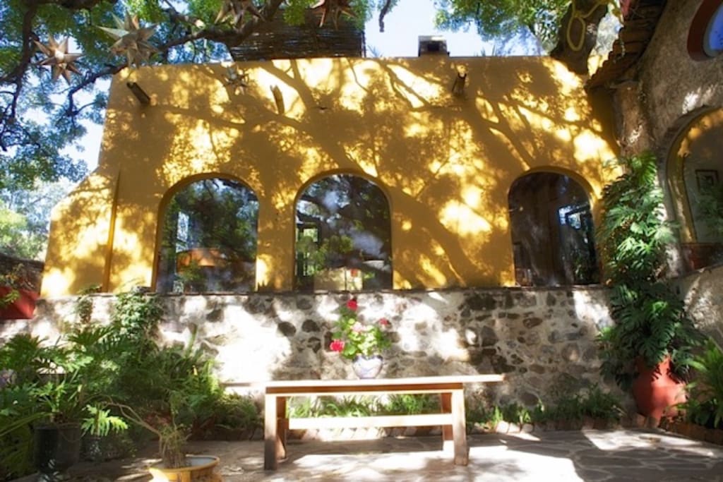 Zapote tree terrace