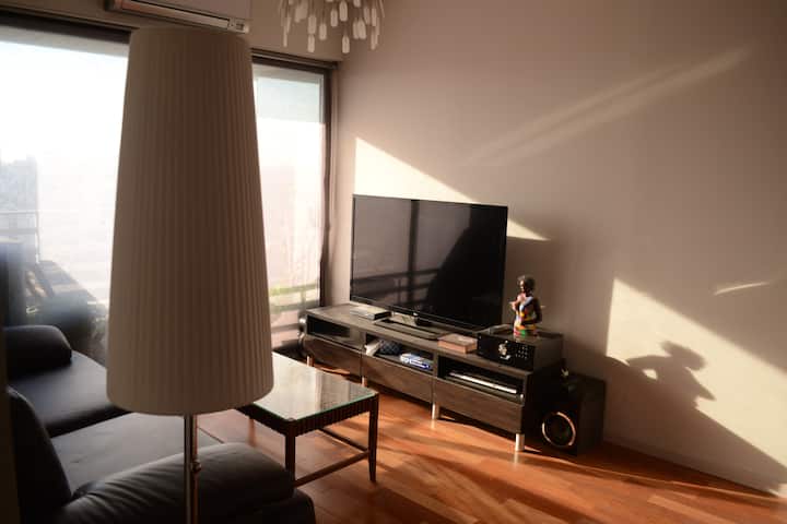 Brand new furnished one-bedroom apartment in Constitución