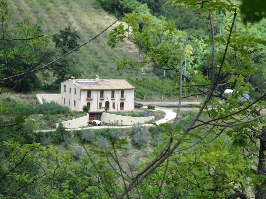South view of the farmhouse