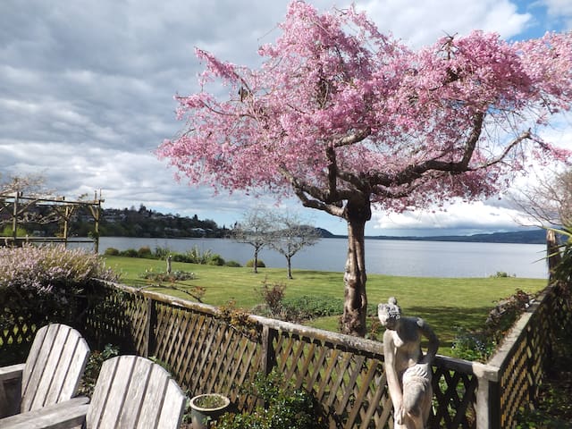 Kawaha Manor Lakeside Honeymoon Suite